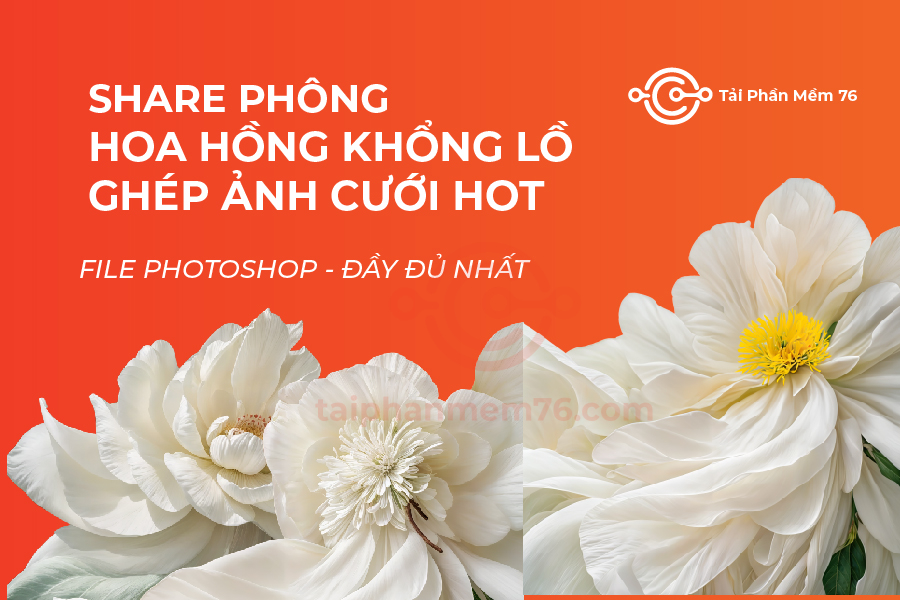 baner-phong-nen-hoa-hong-khong-lo